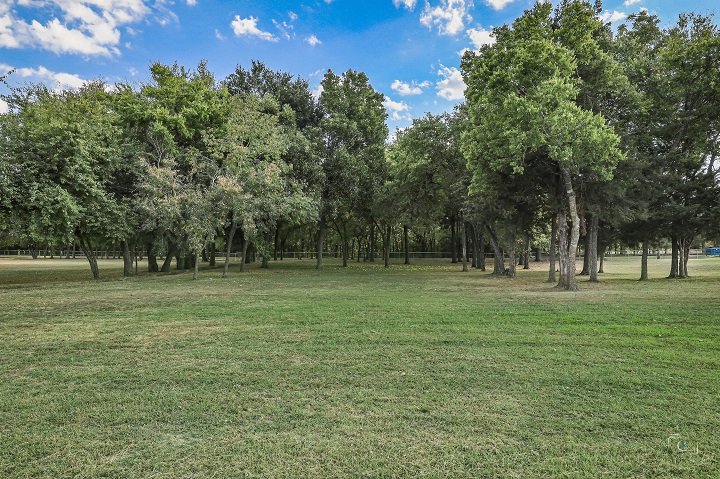 The Grove - Outdoor ceremony area under trees